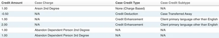 Screenshot of LegalServer case credits functionality for public defenders.