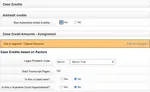 Case Credits screenshot in LegalServer.